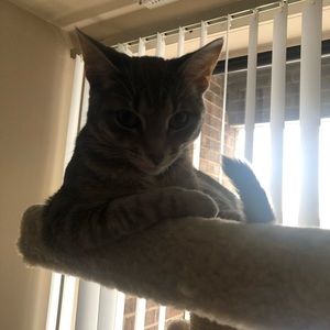 Meet your Posher, Esmeralda